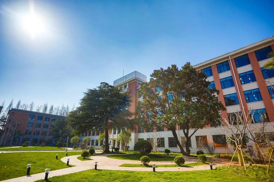 智慧服务”为重点的“互联网开云app